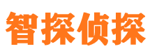 吴川市场调查